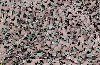 10' x 10' Military Camo Mesh Netting - Woodland