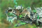 Titan 3D Leafy Gloves